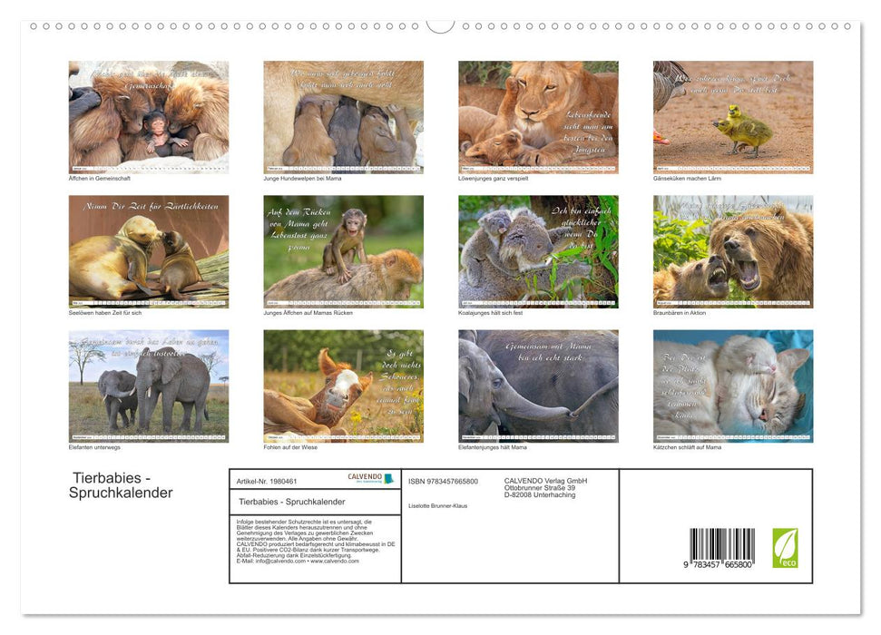 Tierbabies - Spruchkalender (CALVENDO Premium Wandkalender 2026)