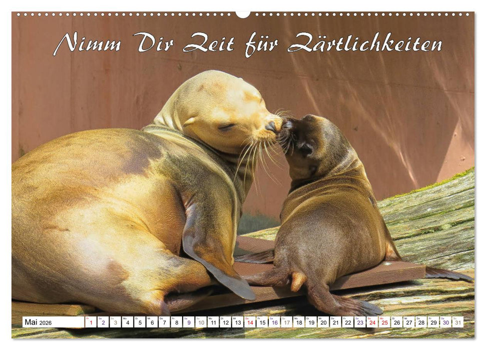 Tierbabies - Spruchkalender (CALVENDO Premium Wandkalender 2026)