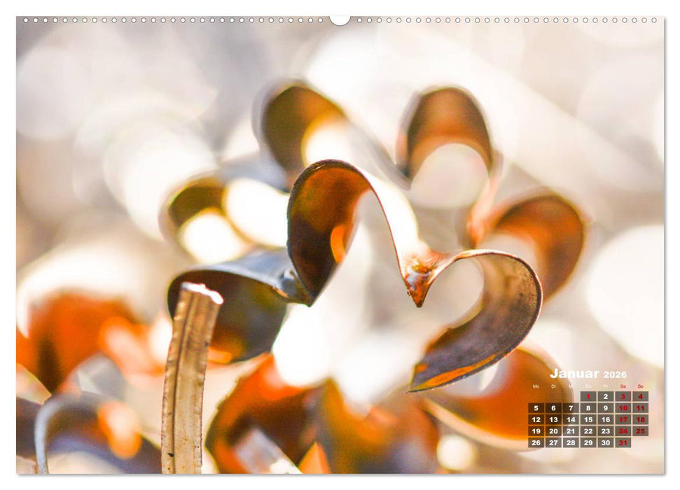 Metall - Schrott kunstvoll in Szene gesetzt (CALVENDO Premium Wandkalender 2026)