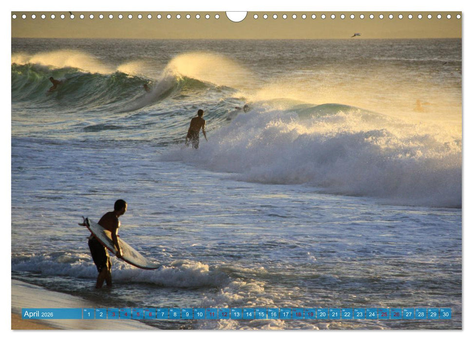 Hawaii´s Surfer (CALVENDO Wandkalender 2026)