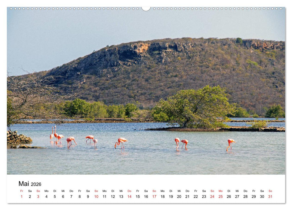 Curacao, die facettenreiche Karibikinsel (CALVENDO Premium Wandkalender 2026)