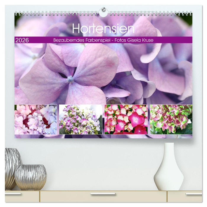 Hortensien Bezauberndes Farbenspiel (CALVENDO Premium Wandkalender 2026)