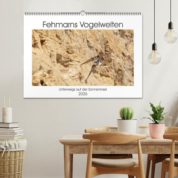 Fehmarn Vogelwelten (CALVENDO Wandkalender 2026)