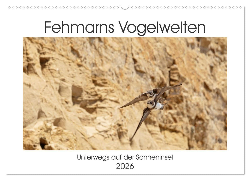 Fehmarn Vogelwelten (CALVENDO Wandkalender 2026)