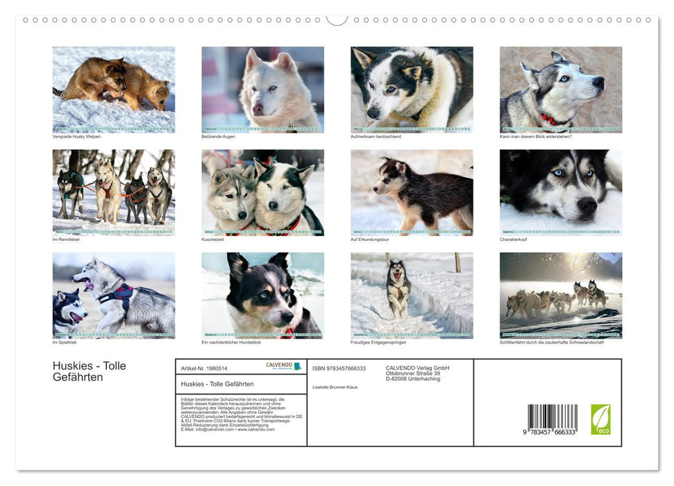 Huskies - Tolle Gefährten (CALVENDO Premium Wandkalender 2026)