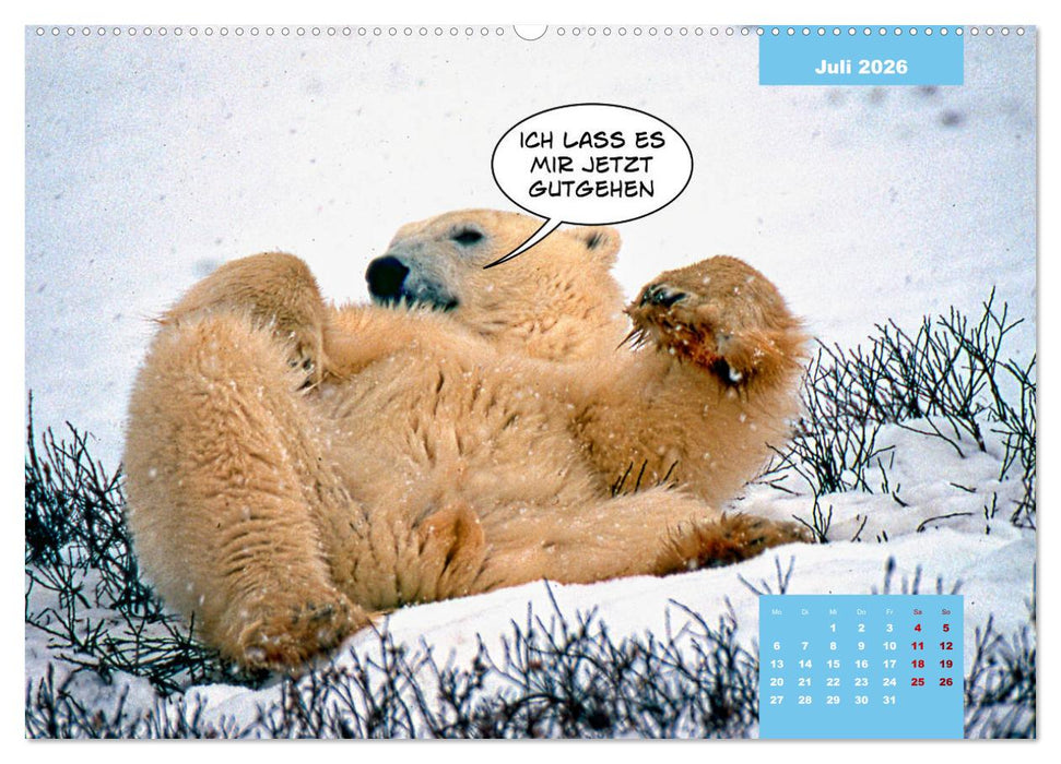 Lustige Eisbären (CALVENDO Premium Wandkalender 2026)