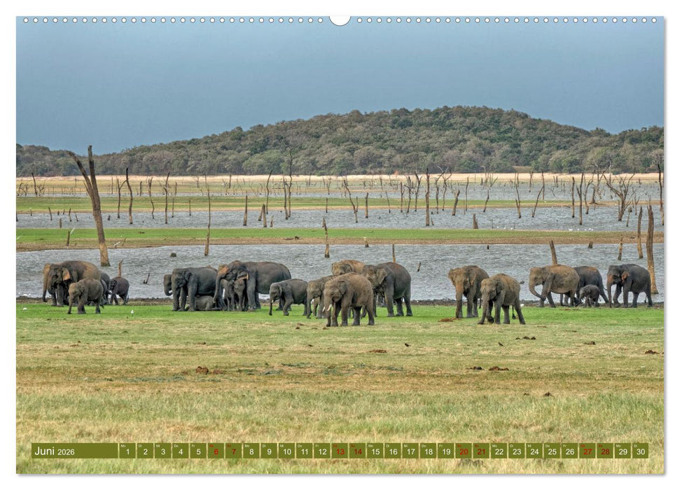 Magic Places - Sehnsuchtsorte nah und fern (CALVENDO Premium Wandkalender 2026)