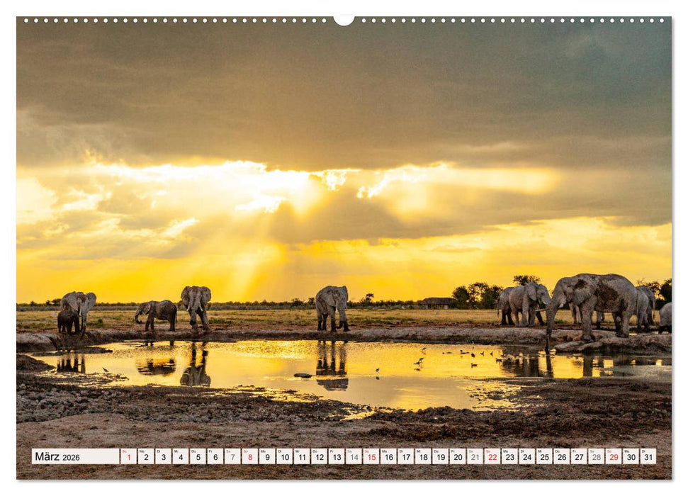 Wildnis Okavango-Delta (CALVENDO Premium Wandkalender 2026)