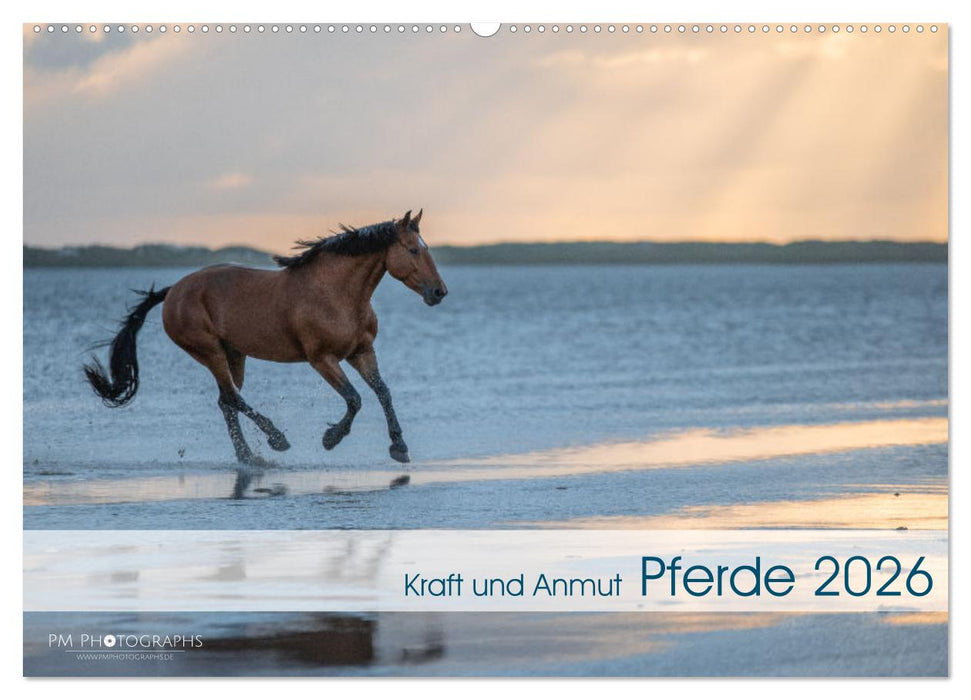 Pferde 2026 Kraft und Anmut (CALVENDO Wandkalender 2026)