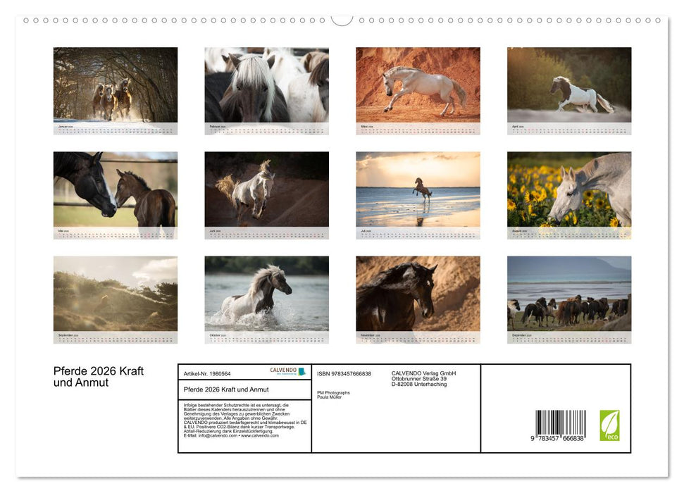 Pferde 2026 Kraft und Anmut (CALVENDO Wandkalender 2026)