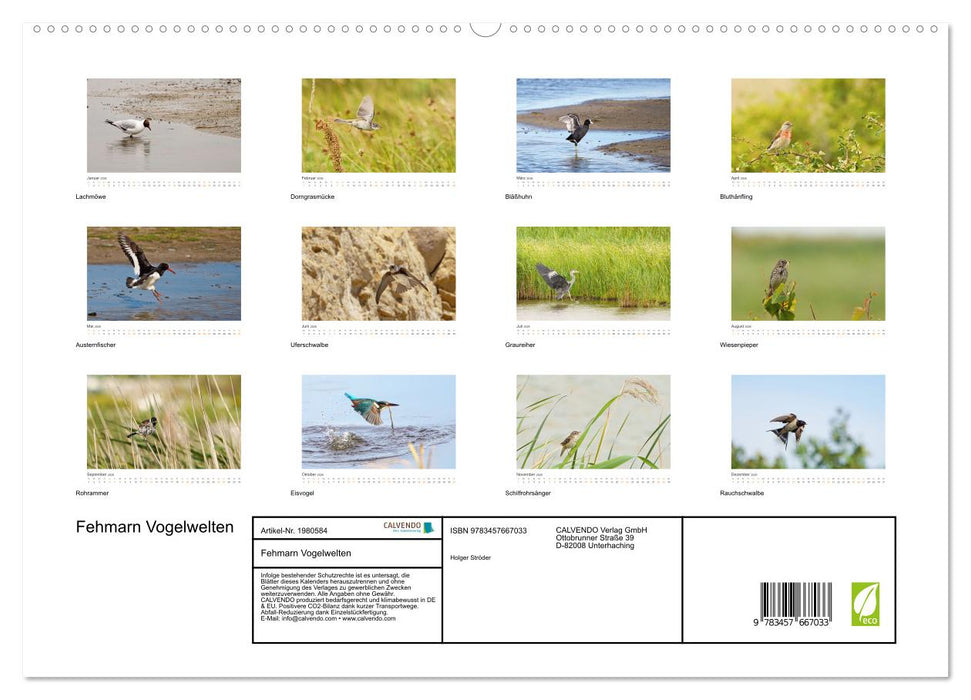 Fehmarn Vogelwelten (CALVENDO Premium Wandkalender 2026)