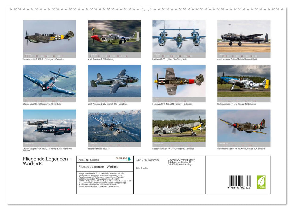 Fliegende Legenden - Warbirds (CALVENDO Premium Wandkalender 2026)