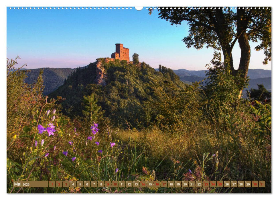 Augenschmaus Pfälzer Wald (CALVENDO Premium Wandkalender 2026)