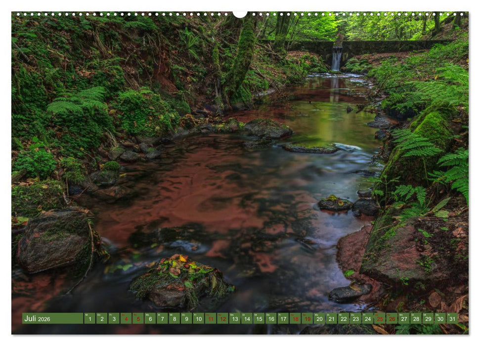 Augenschmaus Pfälzer Wald (CALVENDO Premium Wandkalender 2026)