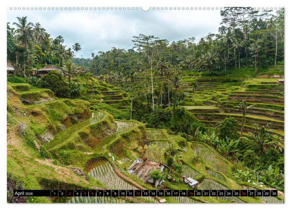 Bali Indonesien (CALVENDO Premium Wandkalender 2026)