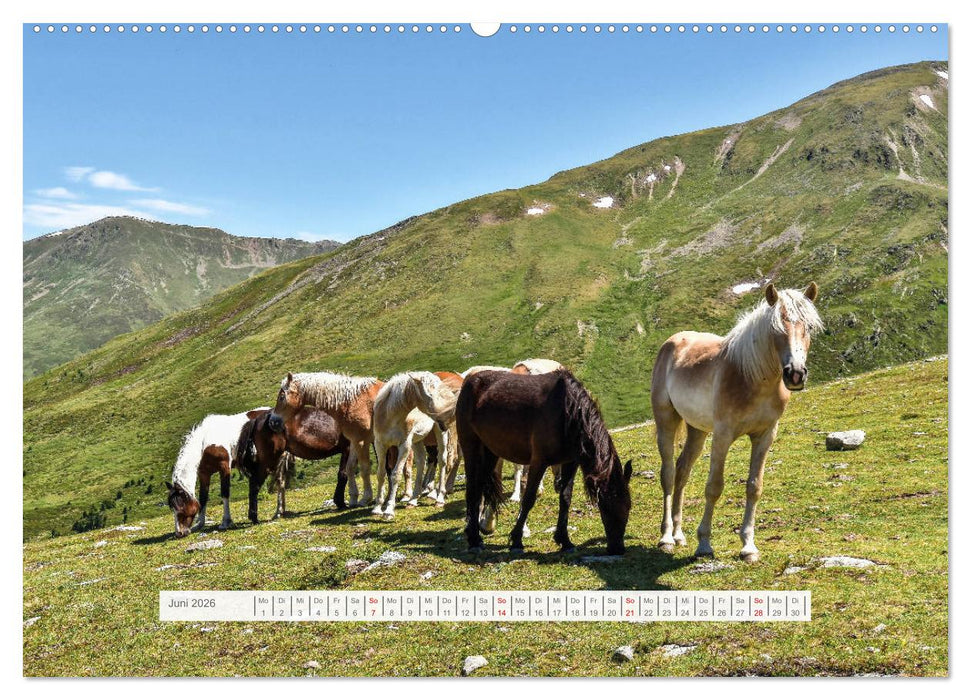 Sommer im Vinschgau (CALVENDO Wandkalender 2026)