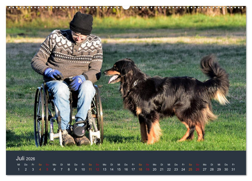 Ein Hovawart, ein Wachhund (CALVENDO Premium Wandkalender 2026)