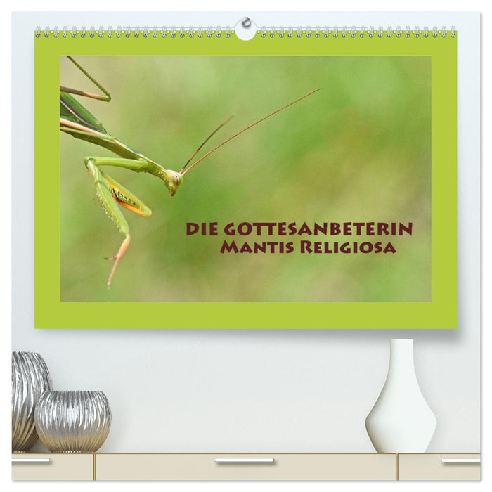 Die Gottesanbeterin Mantis Religiosa (CALVENDO Premium Wandkalender 2026)
