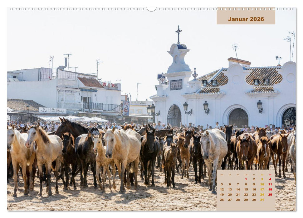 Pferde - Andalusiens wilder Westen (CALVENDO Wandkalender 2026)