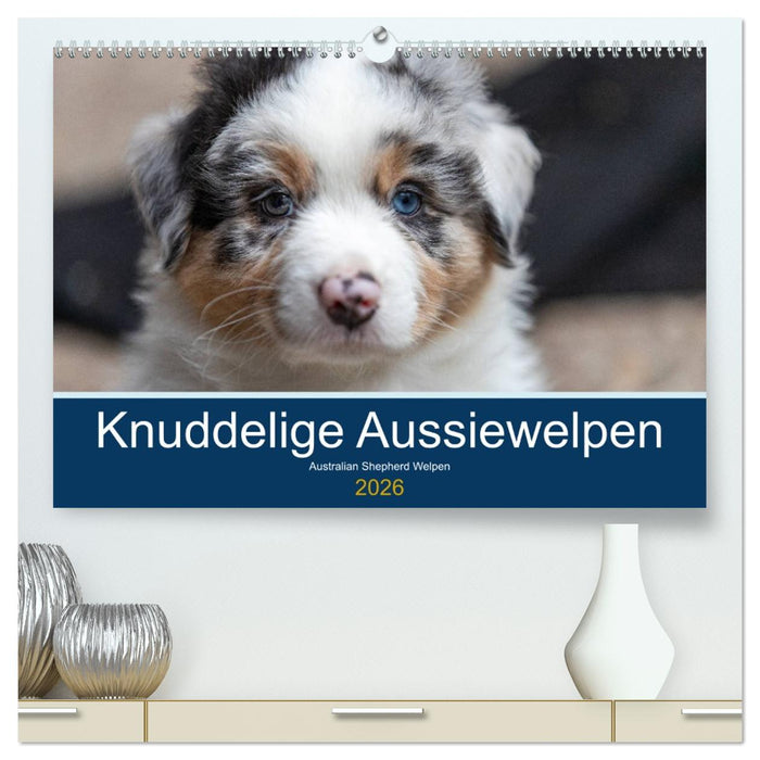 Australian Shepherd Welpen 2026 (CALVENDO Premium Wandkalender 2026)