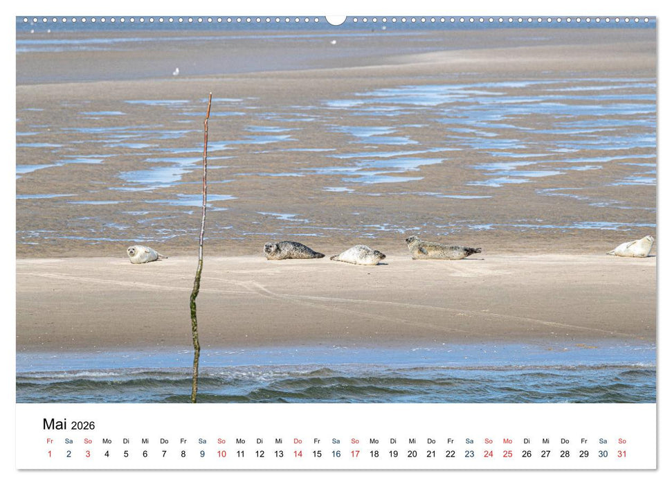 So schön ist Schleswig-Holstein (CALVENDO Premium Wandkalender 2026)