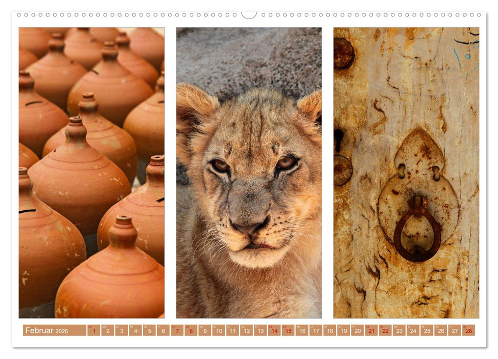 Farbenfrohes aus aller Welt (CALVENDO Wandkalender 2026)