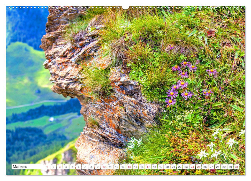5 Gipfel-Tour in Rauris (CALVENDO Premium Wandkalender 2026)