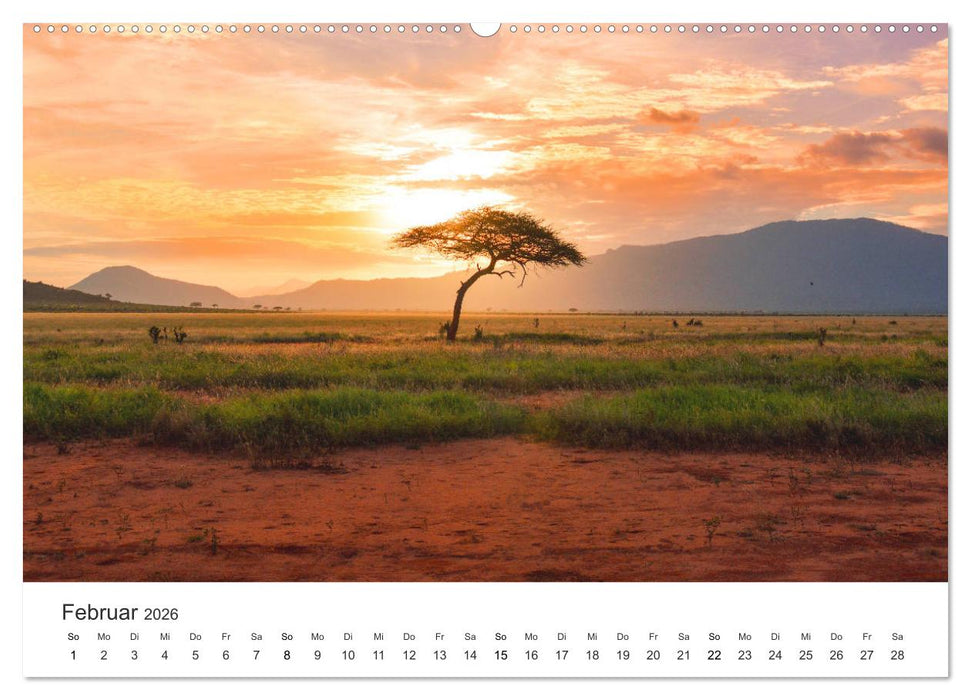 Safari durch Afrika (CALVENDO Premium Wandkalender 2026)