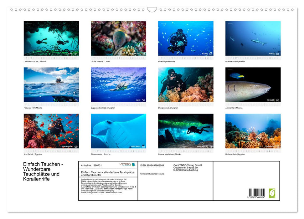 Einfach Tauchen - Wunderbare Tauchplätze und Korallenriffe (CALVENDO Wandkalender 2026)