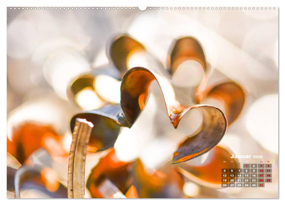 Metall - Schrott kunstvoll in Szene gesetzt (CALVENDO Premium Wandkalender 2026)