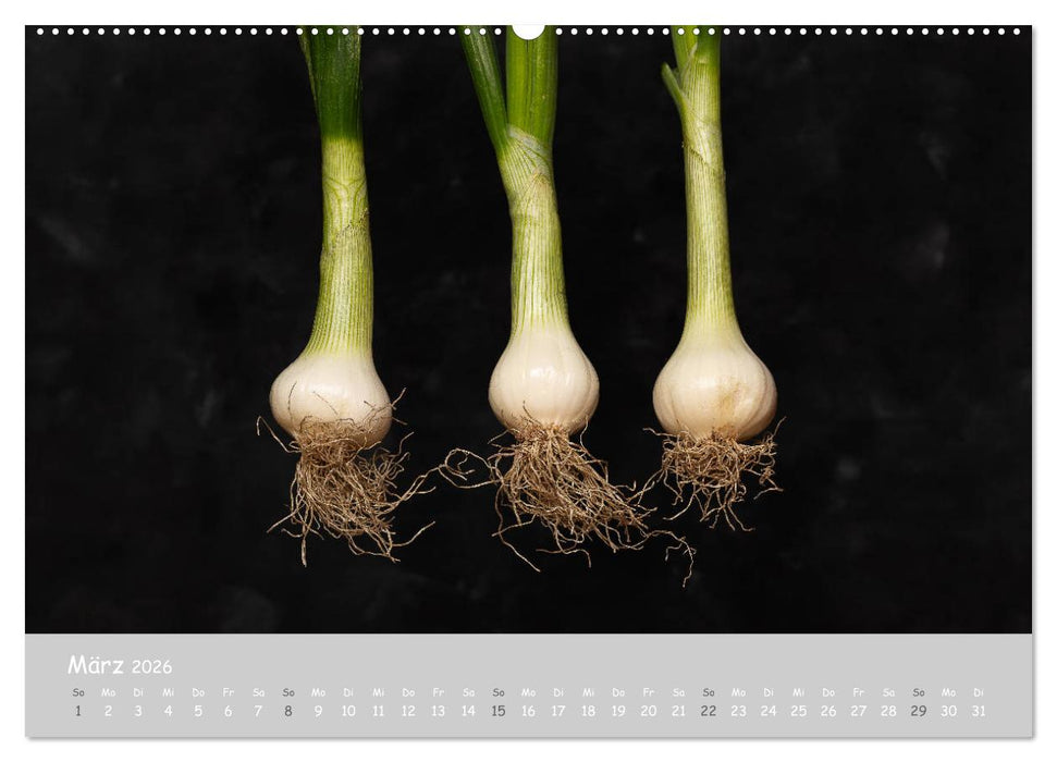minimalist FOOD art Obst und Gemüse (CALVENDO Premium Wandkalender 2026)