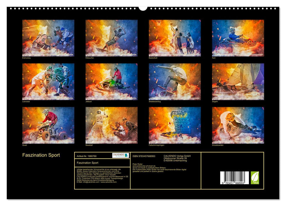 Faszination Sport (CALVENDO Premium Wandkalender 2026)