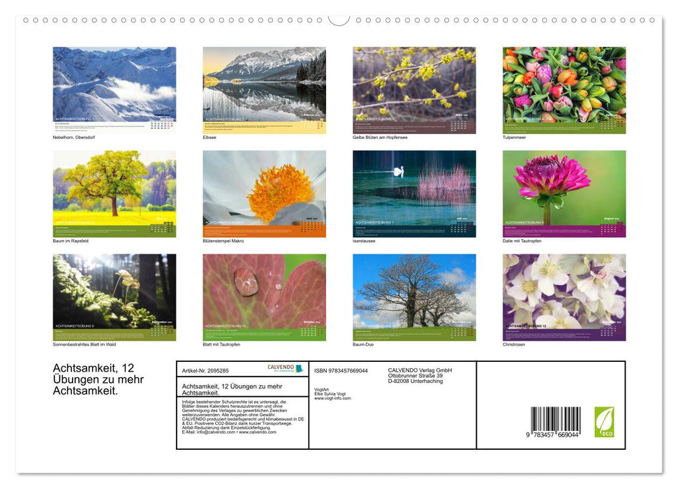 Achtsamkeit, 12 Übungen zu mehr Achtsamkeit. (CALVENDO Premium Wandkalender 2026)