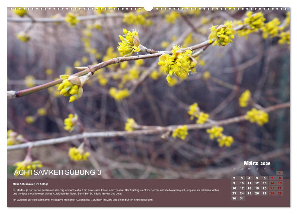 Achtsamkeit, 12 Übungen zu mehr Achtsamkeit. (CALVENDO Premium Wandkalender 2026)