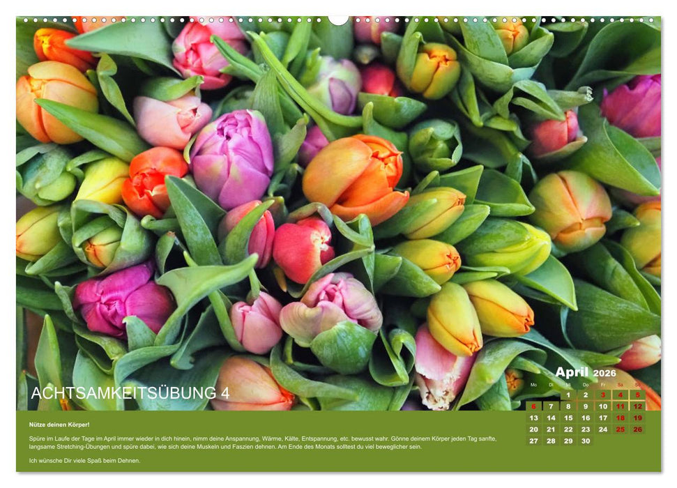 Achtsamkeit, 12 Übungen zu mehr Achtsamkeit. (CALVENDO Premium Wandkalender 2026)