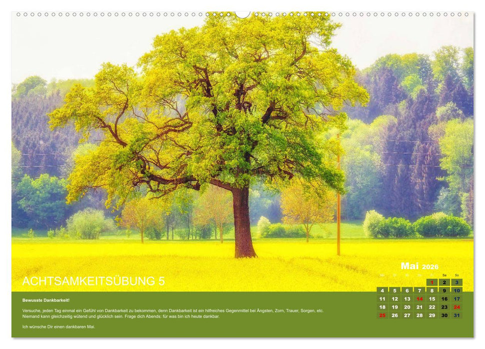 Achtsamkeit, 12 Übungen zu mehr Achtsamkeit. (CALVENDO Premium Wandkalender 2026)