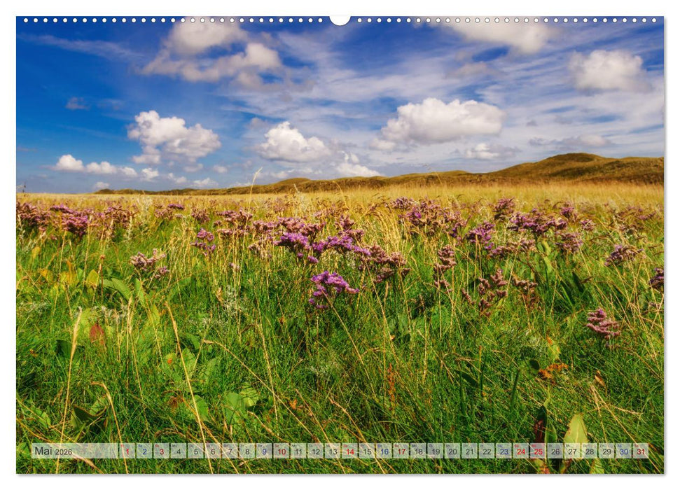 Texel - Kleine Insel, große Vielfalt (CALVENDO Wandkalender 2026)