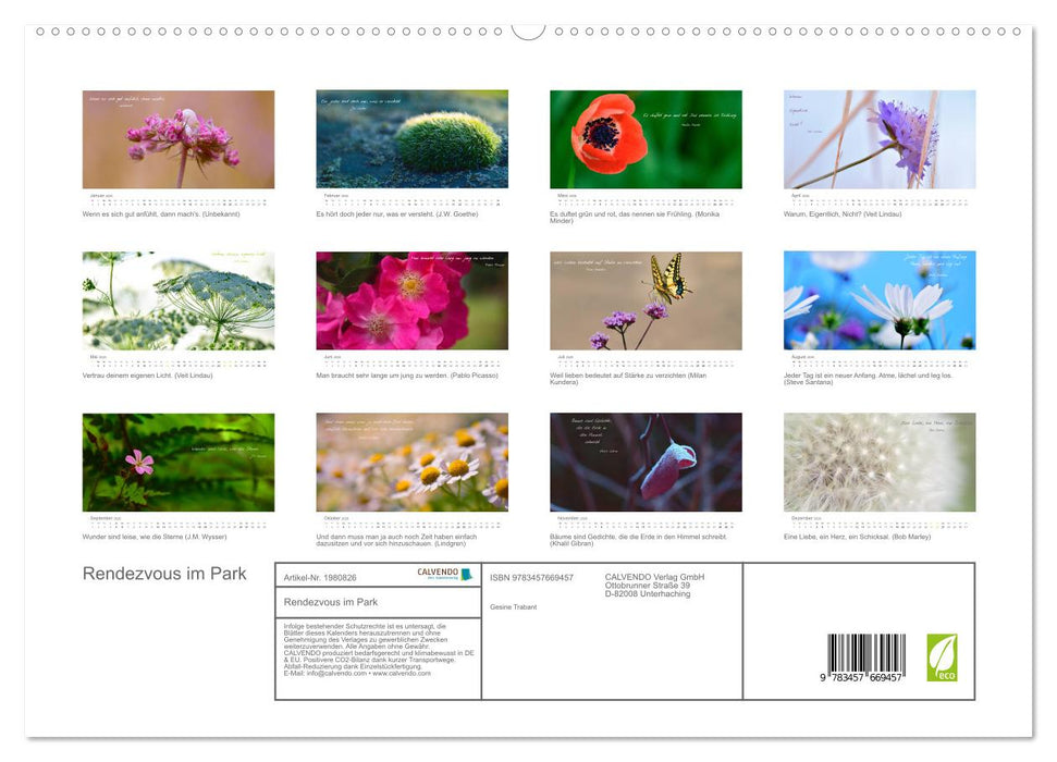 Rendezvous im Park (CALVENDO Premium Wandkalender 2026)