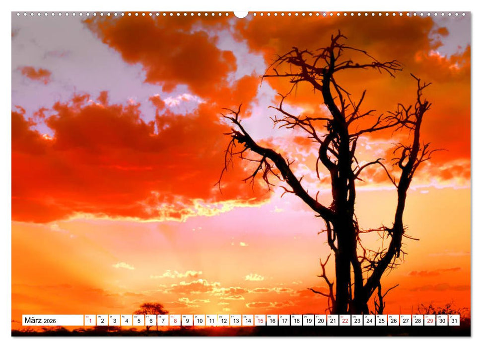 Namibia & Botswana (CALVENDO Premium Wandkalender 2026)