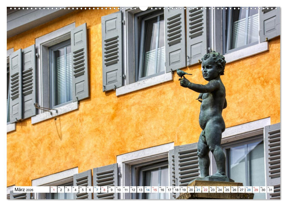 Meisenheim - Die Perle im Glantal (CALVENDO Premium Wandkalender 2026)