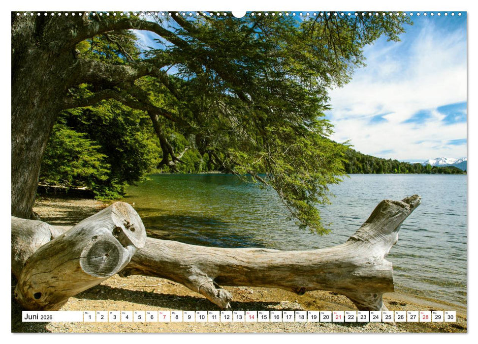 Zauberhaftes Argentinien (CALVENDO Premium Wandkalender 2026)