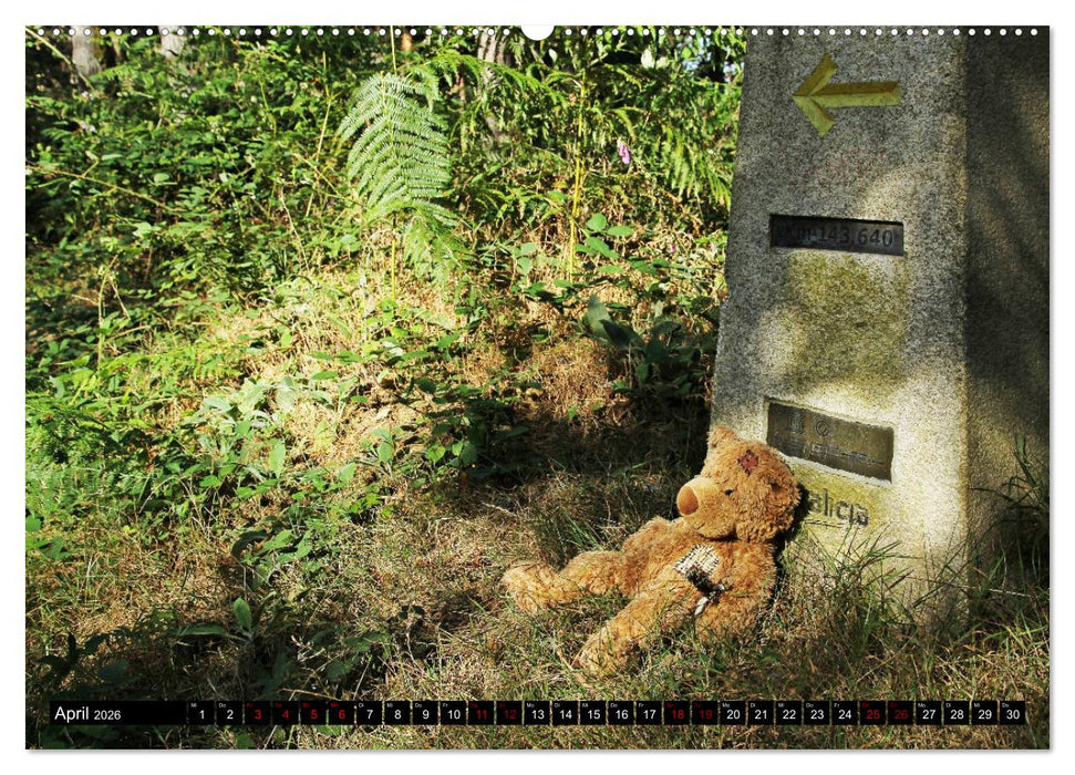 Auf dem Camino Primitivo (CALVENDO Premium Wandkalender 2026)