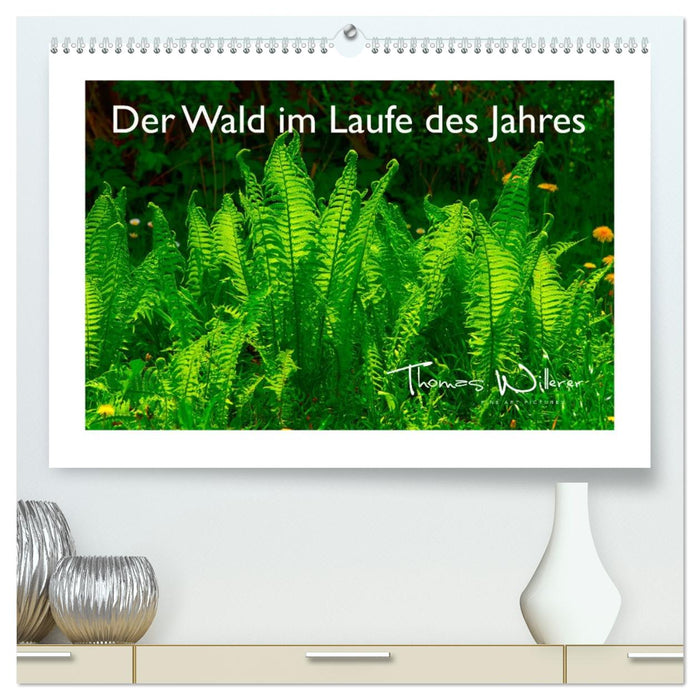 Der Wald im Laufe des Jahres (CALVENDO Premium Wandkalender 2026)