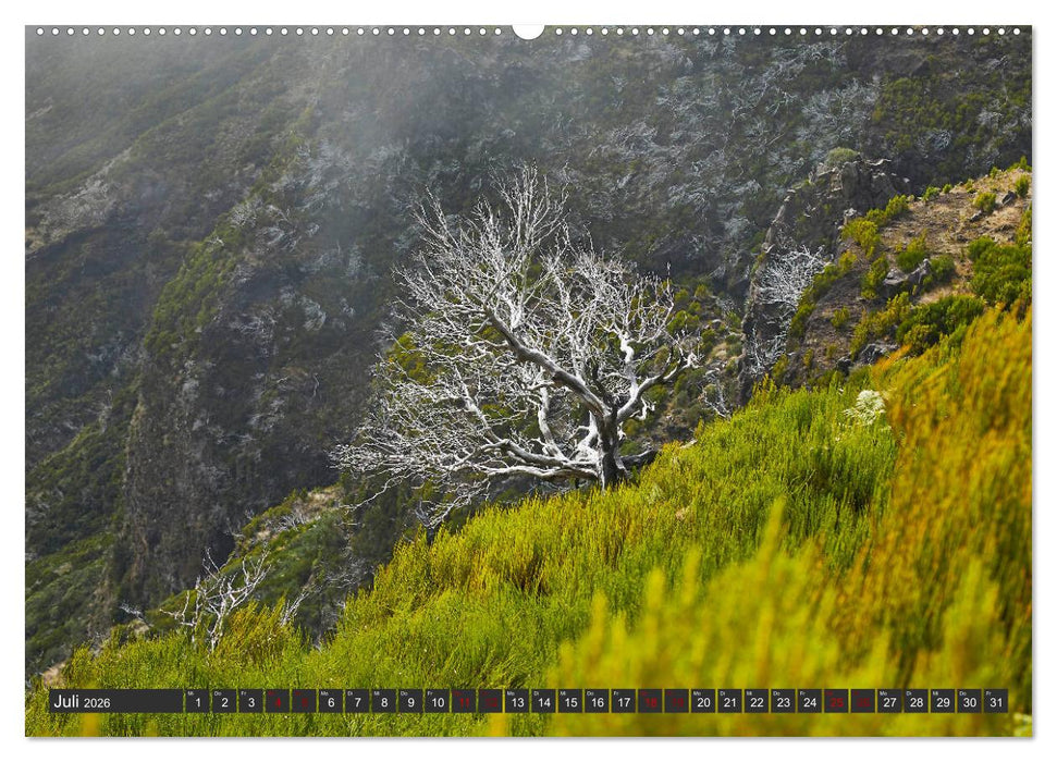 Madeira - Juwel im Atlantik (CALVENDO Premium Wandkalender 2026)