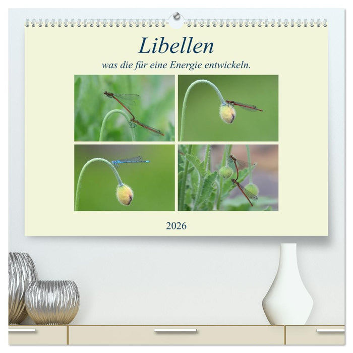 Libellen, was die für eine Energie entwickeln. (CALVENDO Premium Wandkalender 2026)