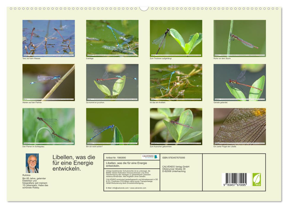 Libellen, was die für eine Energie entwickeln. (CALVENDO Premium Wandkalender 2026)