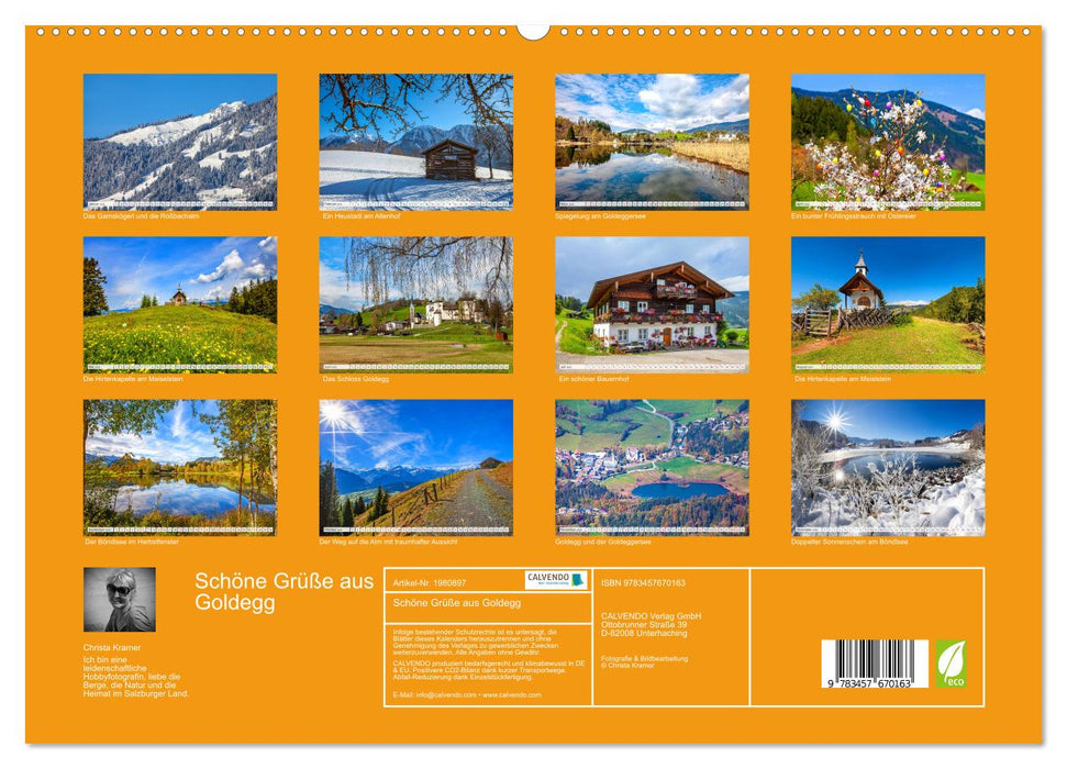 Schöne Grüße aus Goldegg (CALVENDO Premium Wandkalender 2026)