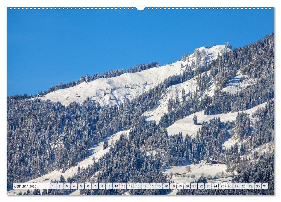 Schöne Grüße aus Goldegg (CALVENDO Premium Wandkalender 2026)