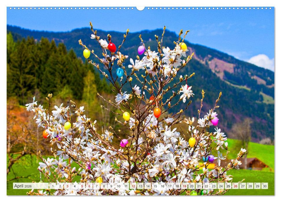 Schöne Grüße aus Goldegg (CALVENDO Premium Wandkalender 2026)