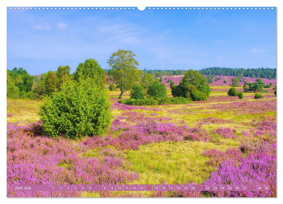 Lüneburger Heide - Wanderung rund um Wilsede und Totengrund (CALVENDO Premium Wandkalender 2026)